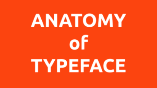 anatomy of typeface thumbnail